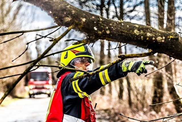 24 Hour Tree Service Ballarat